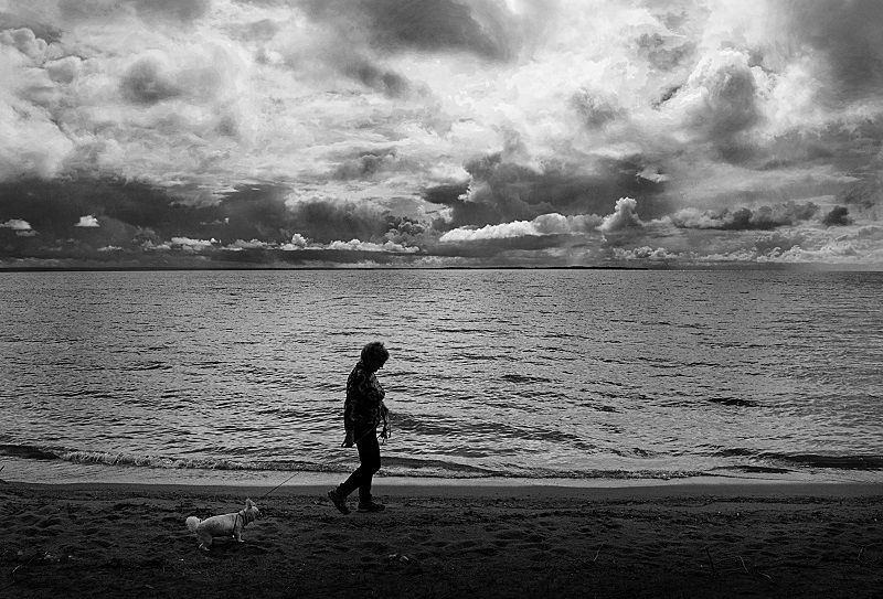 Photograph of a person walking their dog on a beach